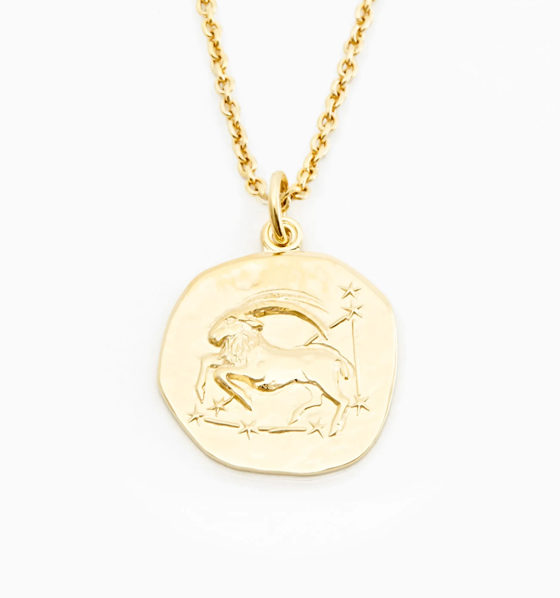 Capricorn Zodiac Necklace